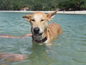 Loving a swim