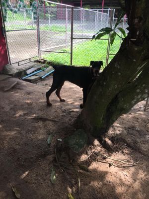 Enjoying the play area