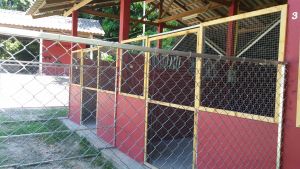 Ila's World Dog Hotel - Large Kennels