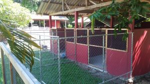 Ila's World Dog Hotel - Small Kennels